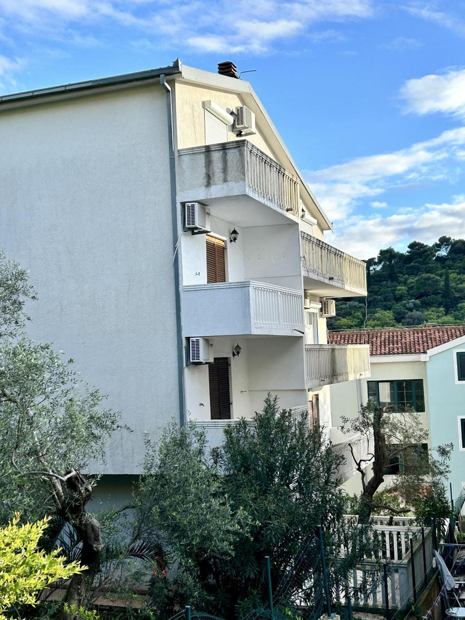 Studio Lucica Petrovac Exteriör bild
